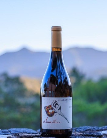 2019 Chardonnay Unfiltered Napa Valley