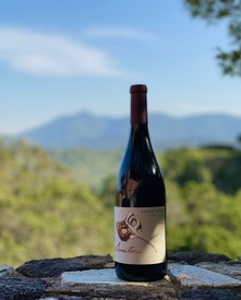 2020 Pinot Noir Carneros